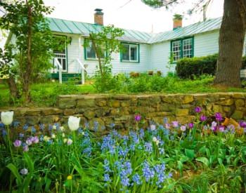 Exterior view of cottage painted white with green trim surrounded by green grass and shrubs, a stone retaining wall, and white, purple, and blue flowers