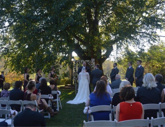 Wedding ceremony outside near large tree with bride in white dress and groom in gray suit