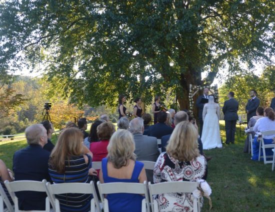 Wedding ceremony outside near large tree with bride in white dress and groom in gray suit