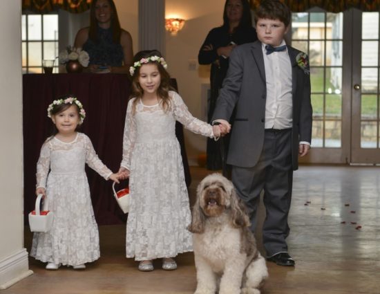 Ring bearer in gray suit, two flower girls in white dresses, and white and gray dog standing at entry way