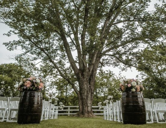 Area in front of large tree with green leaves set up for a wedding ceremony