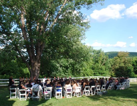 Wedding ceremony in front of large tree with green leaves with bride in white dress and groom in black suit