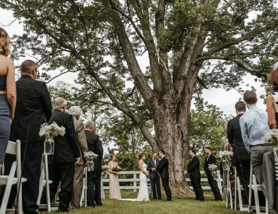 Wedding ceremony in front of large tree with green leaves with bride in white dress and groom in black suit