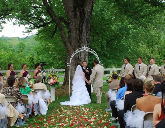 Wedding ceremony in front of large tree with green leaves with bride in white dress and groom in light tan suit