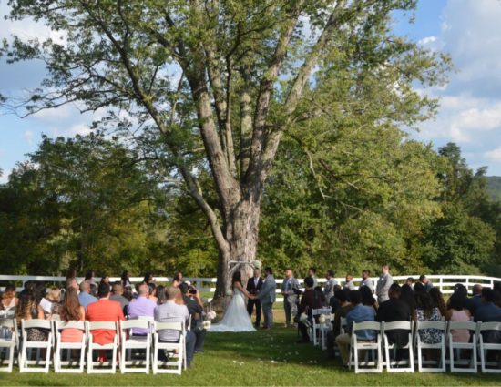 Wedding ceremony set up in front of large tree with green leaves with bride in white dress and groom in gray suit