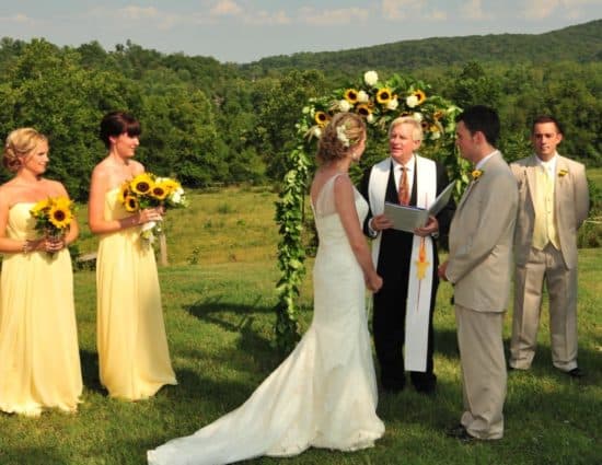 Bride in white dress, bridesmaids in yellow gowns, and groom and groomsmen in light tan suits