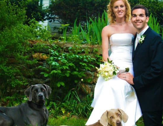 Bride with white dress and groom with black suit standing together with black dog and light gray dog