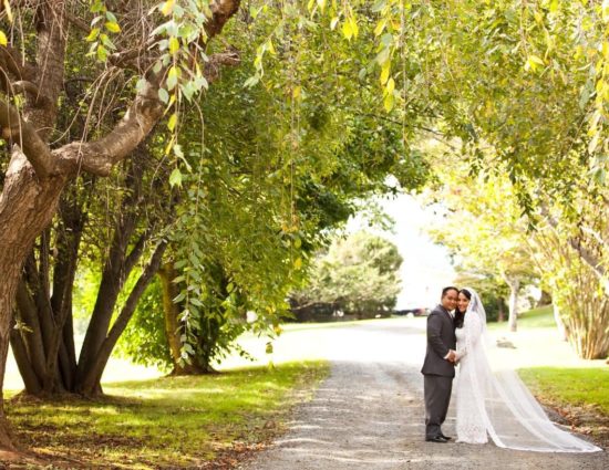 Bride with white dress and groom with gray suit standing on gravel road between large trees