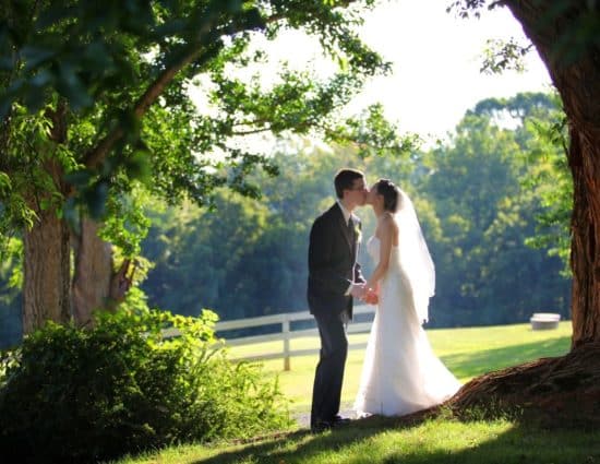 Bride with white dress and groom with gray suit standing by large tree with green leaves