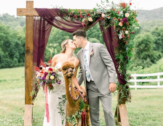 Bride with white dress and groom with gray suit standing under wedding alter with brown alpaca