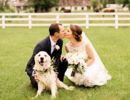 Bride with white dress and groom with black suit kissing with white dog nearby and white fence and horses in the background