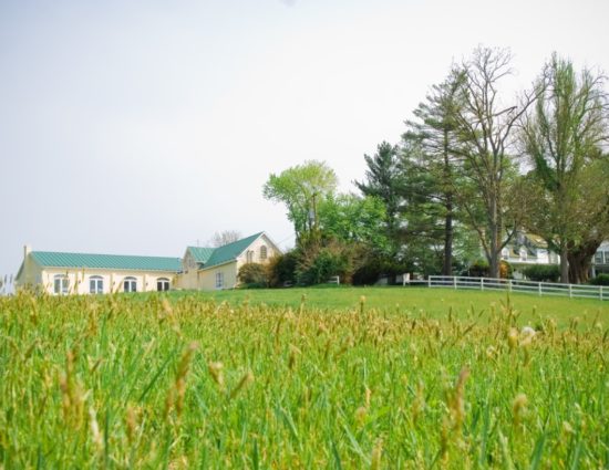 View of the main house and events center in a field with green grass