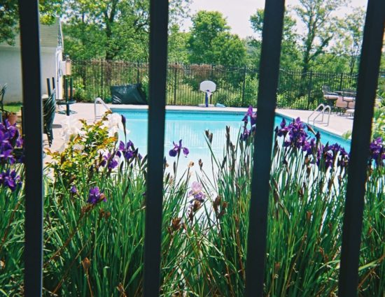 View of the pool on other side of rod iron fence surrounded by purple flowers