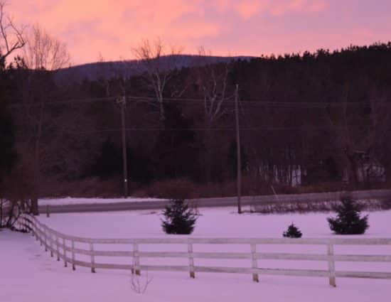 Grounds covered in snow with sun setting leaving a light pink sky