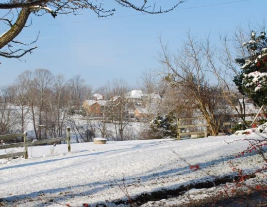 View from property with trees and a fence covered in snow