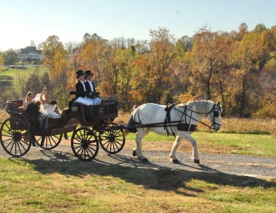 Bride and maid of honor riding in old buggy pulled by white horse