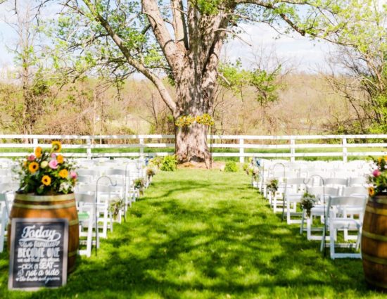 Wedding ceremony with white chairs set up in front of large tree