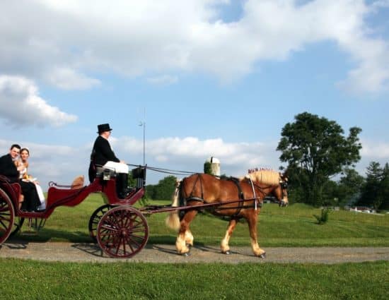 Bride in white dress and groom in black suit riding in buggy pulled by brown horse