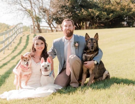 Bride with white dress and groom with gray and tan suit sitting in green grass with a light brown dog, white dog, and brown and tan dog