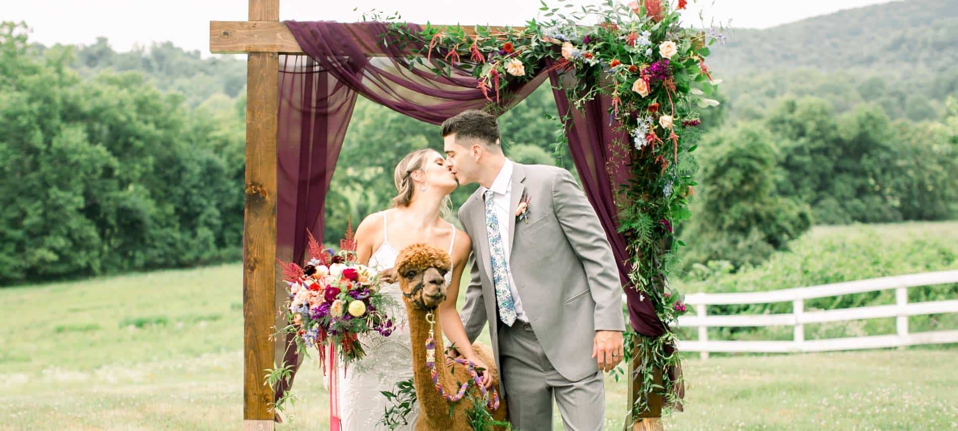 Bride with white wedding dress and groom with gray suit standing near a brown alpaca under a wooden alter decorated with flowers on a hill with green trees in the background