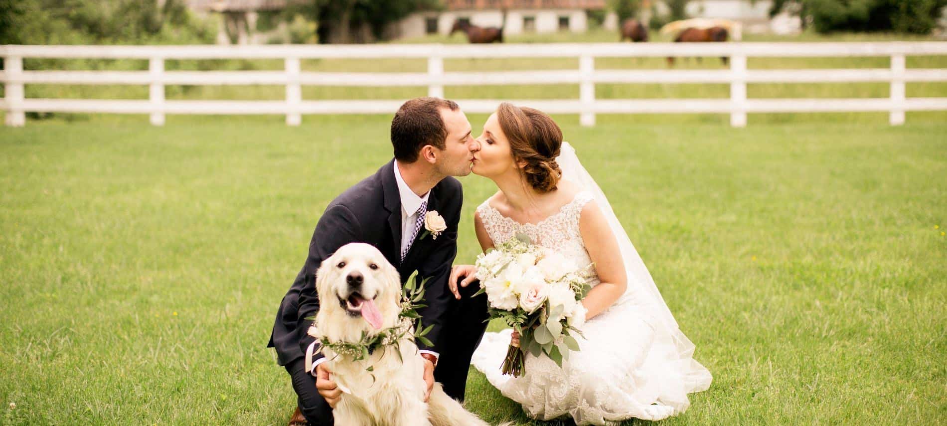 Bride with white wedding dress and groom with black suit kneeling down and kissing with white dog sitting nearby