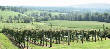 Breweries and wineries near me deals