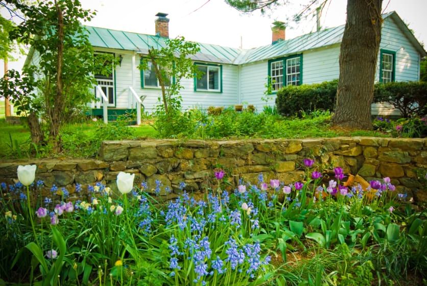 Exterior view of cottage painted white with green trim surrounded by green grass and shrubs, a stone retaining wall, and white, purple, and blue flowers