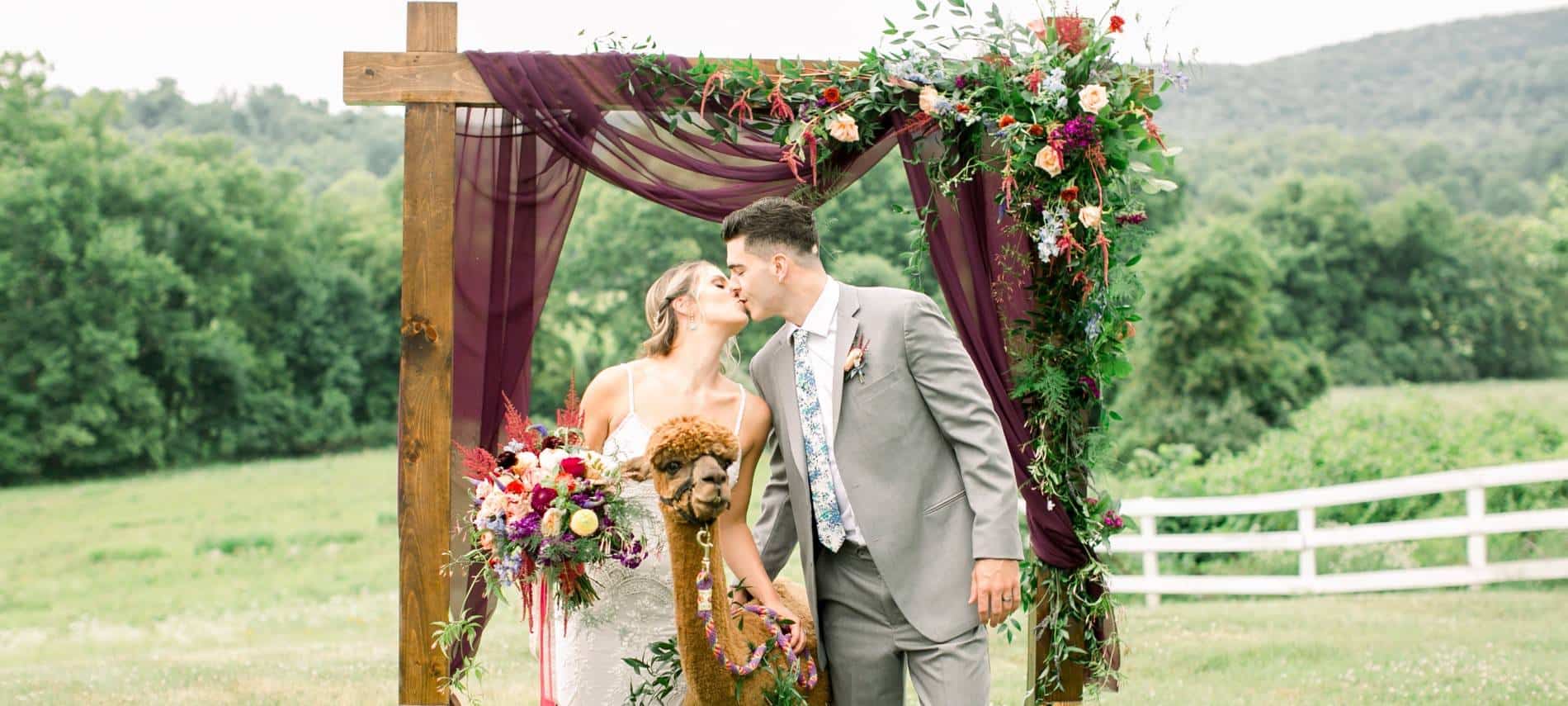 Bride with white wedding dress and groom with gray suit standing near a brown alpaca under a wooden alter decorated with flowers on a hill with green trees in the background