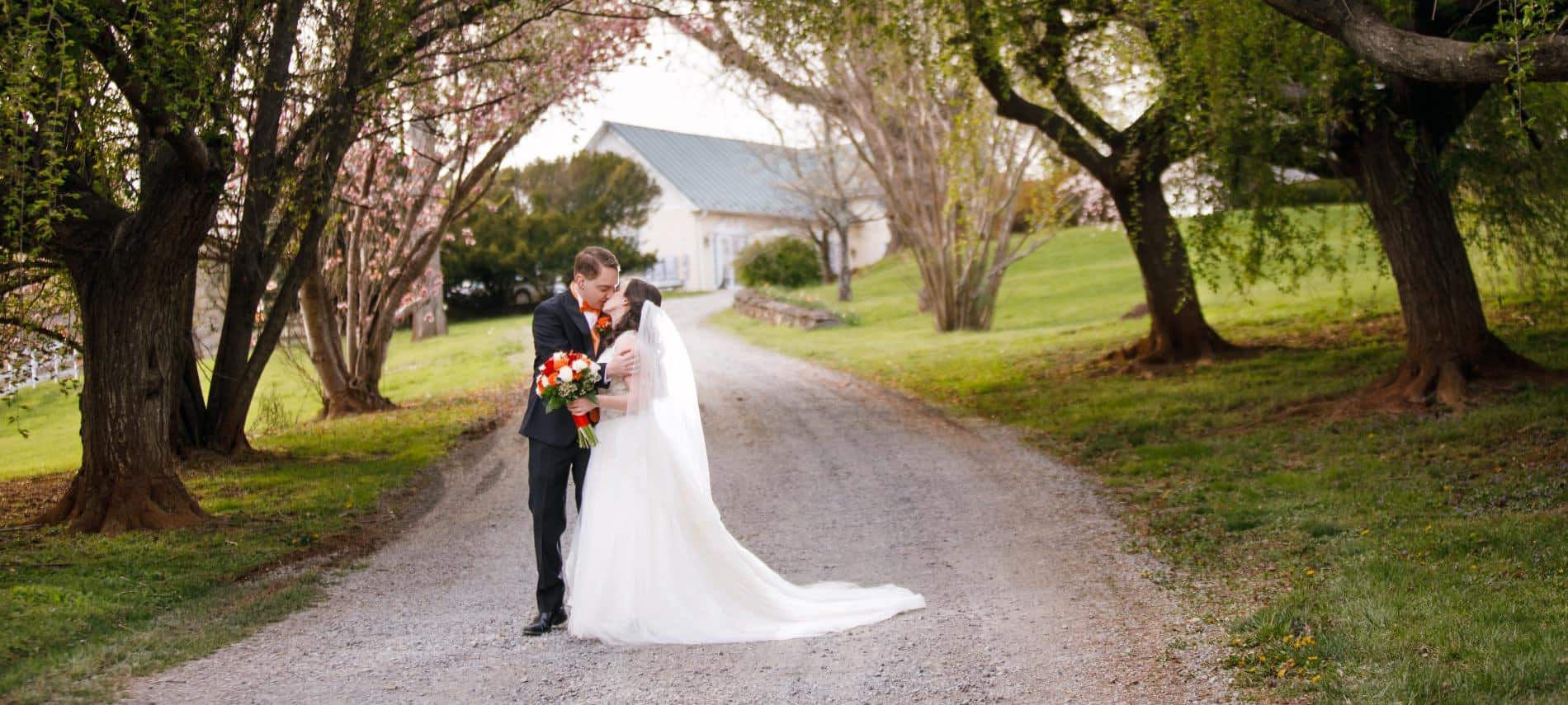 Bride with white wedding dress and groom with black suit standing on gravel road between large trees