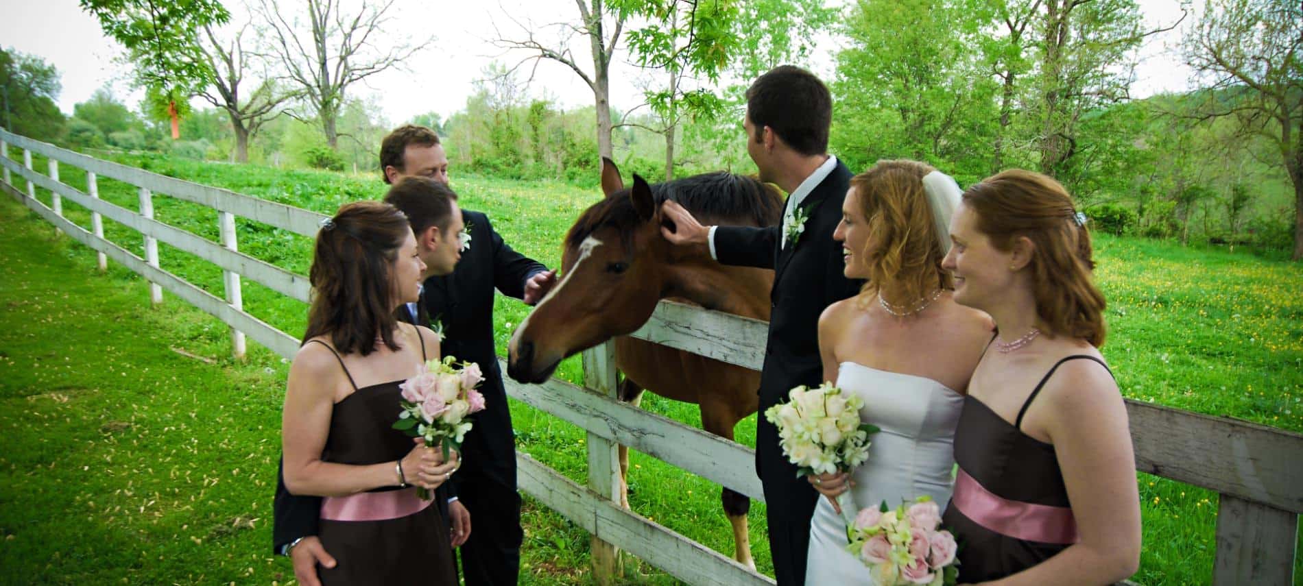 Wedding party dressed in white and black standing near white fence petting a brown horse