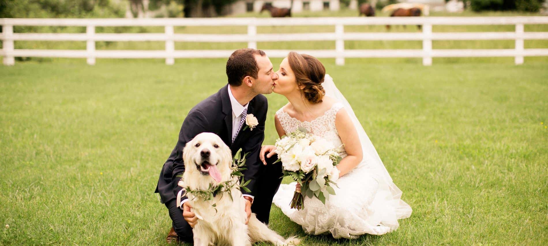 Bride with white wedding dress and groom with black suit kneeling down and kissing with white dog sitting near by